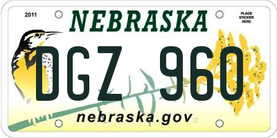 NE license plate DGZ960