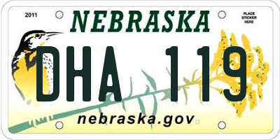 NE license plate DHA119