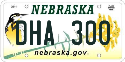 NE license plate DHA300