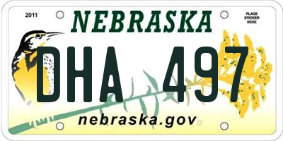 NE license plate DHA497