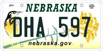 NE license plate DHA597
