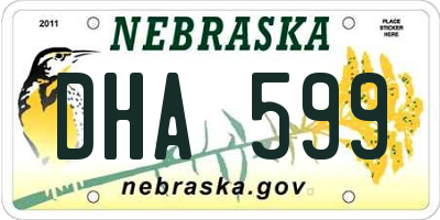 NE license plate DHA599