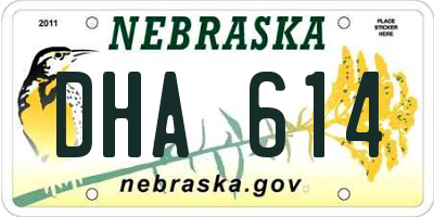 NE license plate DHA614
