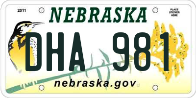 NE license plate DHA981
