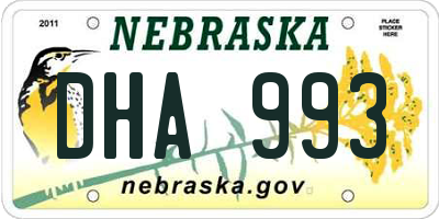 NE license plate DHA993