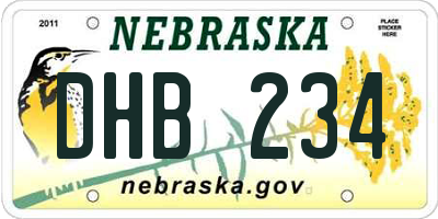 NE license plate DHB234