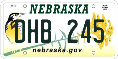NE license plate DHB245
