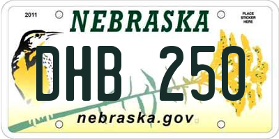 NE license plate DHB250