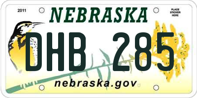 NE license plate DHB285