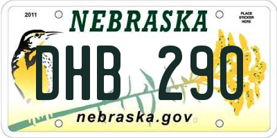 NE license plate DHB290