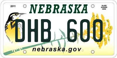 NE license plate DHB600