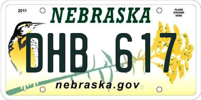 NE license plate DHB617