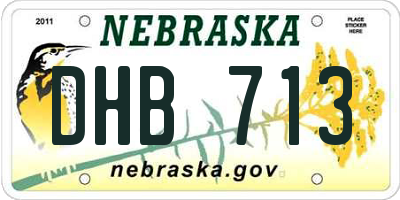 NE license plate DHB713