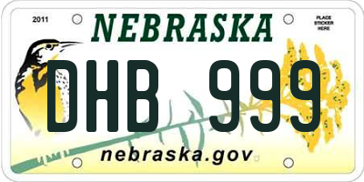 NE license plate DHB999