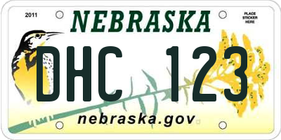 NE license plate DHC123