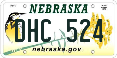 NE license plate DHC524
