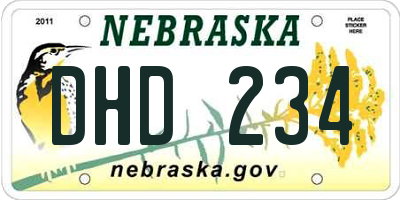 NE license plate DHD234