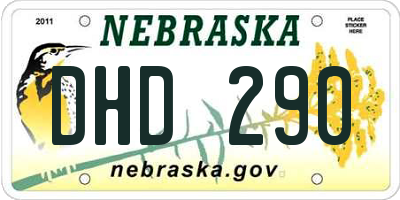 NE license plate DHD290