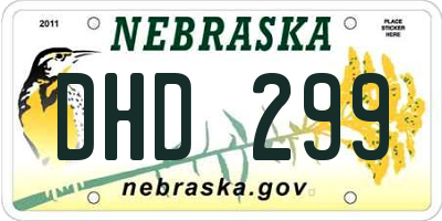 NE license plate DHD299