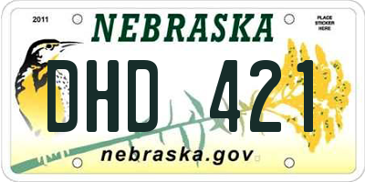 NE license plate DHD421