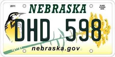 NE license plate DHD598