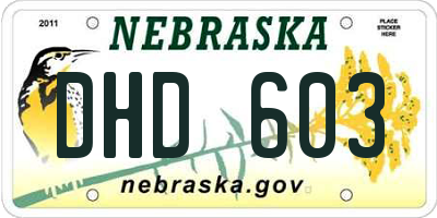 NE license plate DHD603