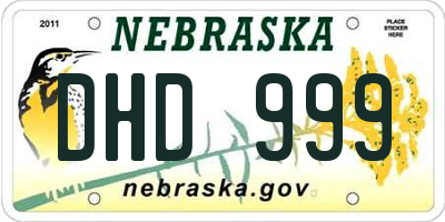 NE license plate DHD999