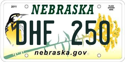 NE license plate DHF250