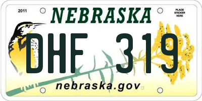 NE license plate DHF319