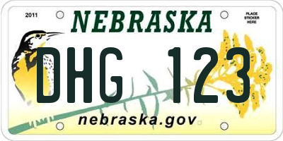 NE license plate DHG123