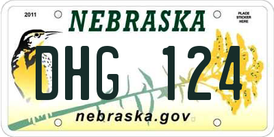 NE license plate DHG124