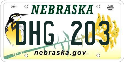 NE license plate DHG203