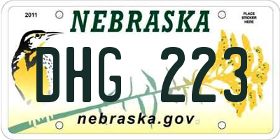 NE license plate DHG223