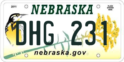 NE license plate DHG231