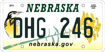 NE license plate DHG246