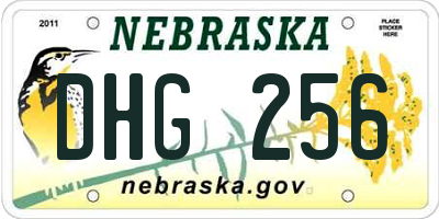 NE license plate DHG256