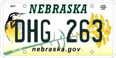NE license plate DHG263