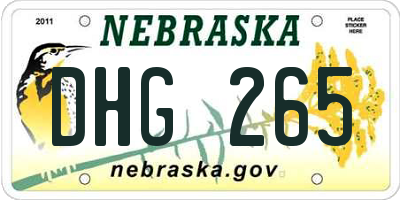 NE license plate DHG265