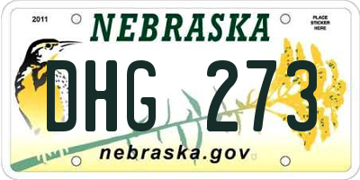 NE license plate DHG273