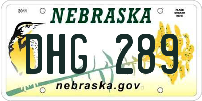 NE license plate DHG289