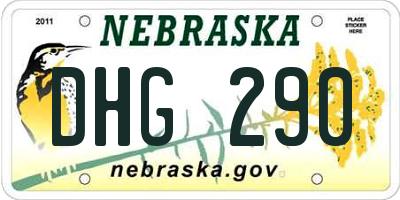 NE license plate DHG290