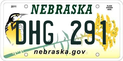 NE license plate DHG291