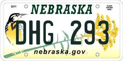 NE license plate DHG293