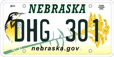 NE license plate DHG301