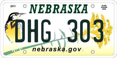 NE license plate DHG303