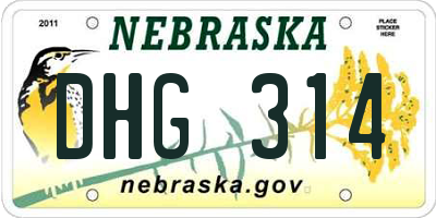 NE license plate DHG314