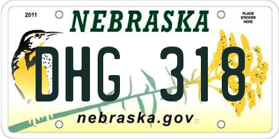 NE license plate DHG318