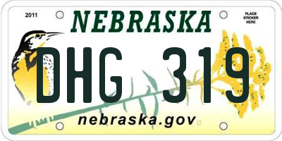 NE license plate DHG319