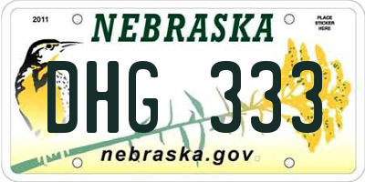 NE license plate DHG333