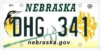 NE license plate DHG341